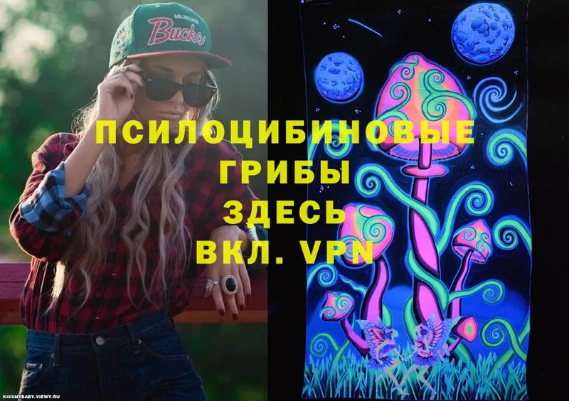 Галлюциногенные грибы MAGIC MUSHROOMS  Георгиевск 